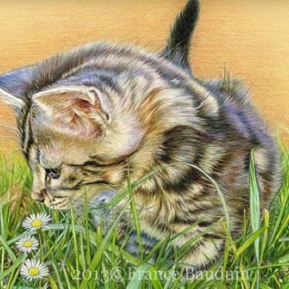 Daisy days1
Daler-Rowney Pastel Paper
9" x 12" 
Silver 55 days (Laila's 1st litter)